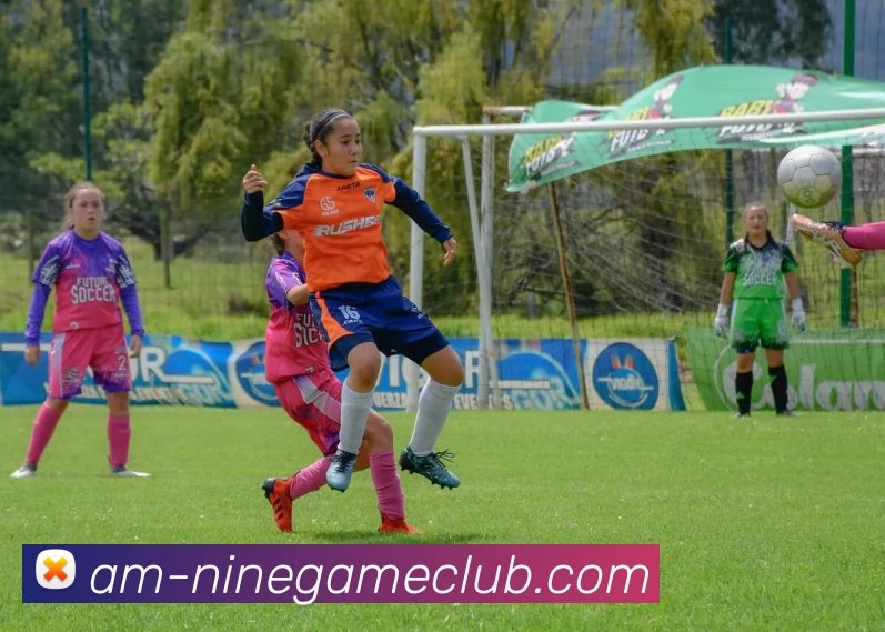 多媒体互动体验